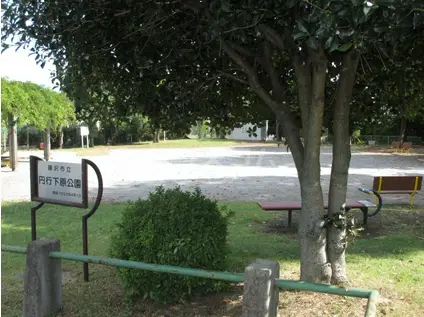 ウィステリア湘南台(1K/6階)の周辺写真