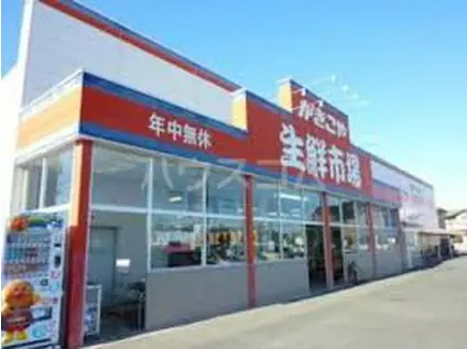 グランパレⅤ(2DK/2階)の周辺写真