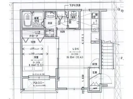 カーサセレーナ住吉(1LDK/1階)の間取り写真