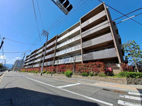甲子園三番町ハイツ(3LDK/5階)