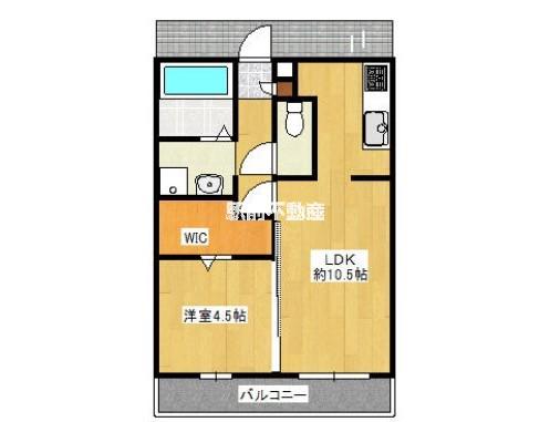ブルームハイム(1LDK/2階)の間取り写真