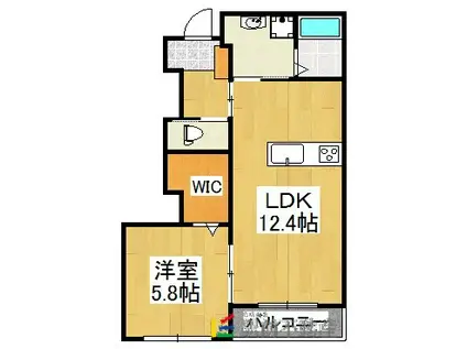 グランディール中広II(1LDK/1階)の間取り写真