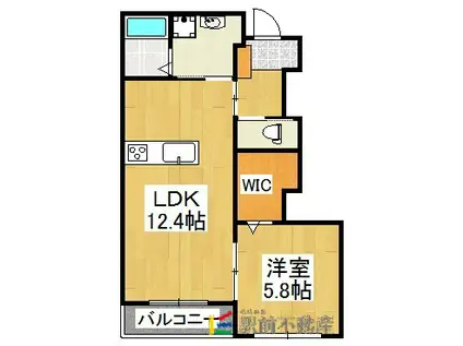 グランディール中広II(1LDK/1階)の間取り写真