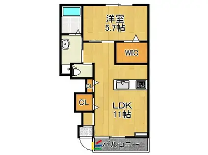 ルミナスK(1LDK/1階)の間取り写真