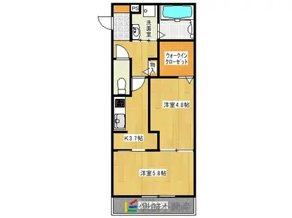 D-ROOM桜雲(2K/1階)の間取り写真