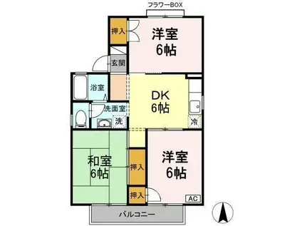 サンテラスT&F B棟(2LDK/1階)の間取り写真