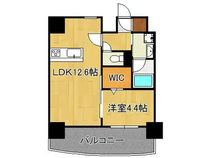 プレジデンス ざ旦過(1LDK/5階)の間取り写真