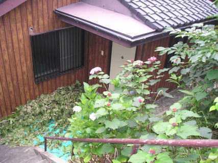 福岡県北九州市八幡西区 築73年(2DK)