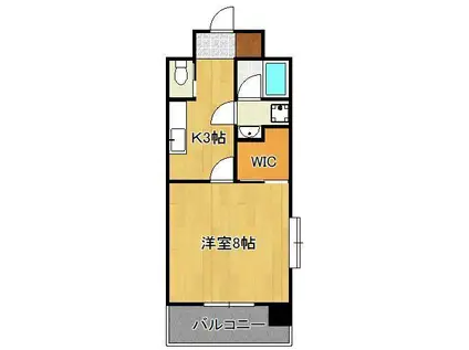 プルーム真鶴(1K/8階)の間取り写真