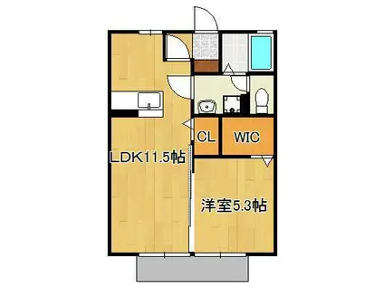 シェルノーブル C棟(1LDK/1階)の間取り写真