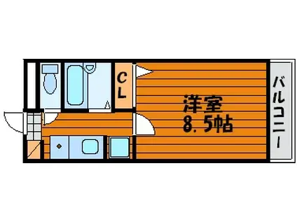 シダー西大寺(1K/4階)の間取り写真