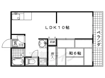 レグルスコート(1LDK/1階)の間取り写真