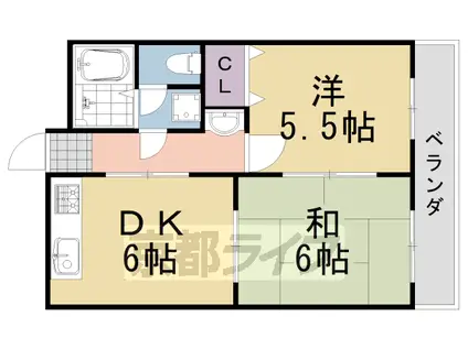 メゾン紫(2DK/2階)の間取り写真