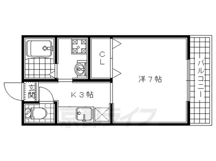 コーポ桑の木(1K/1階)の間取り写真