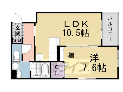 シャルマン唐橋南Ⅱ(1LDK/3階)の間取り写真