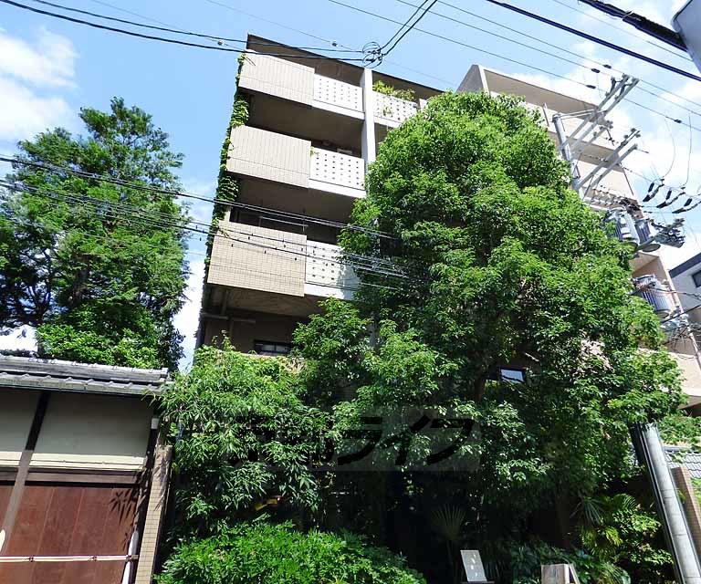 京都市東西線 京都市役所前駅 徒歩4分 築27年(2DK/3階)