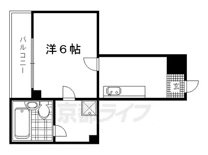 京都市烏丸線 丸太町駅(京都市営) 徒歩12分 11階建 築37年(1K/5階)の間取り写真
