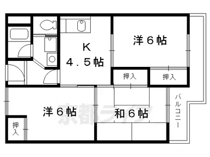 コーポラス大洋向島(3DK/3階)の間取り写真
