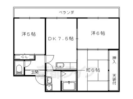 コーポ弘和(3DK/1階)の間取り写真