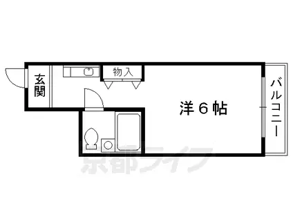 東海道本線 京都駅 徒歩3分 5階建 築40年(1K/5階)の間取り写真