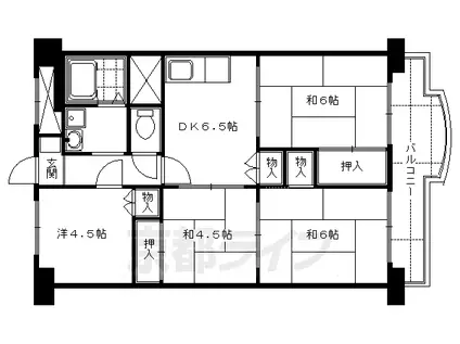 向島ニュータウン(4DK/2階)の間取り写真