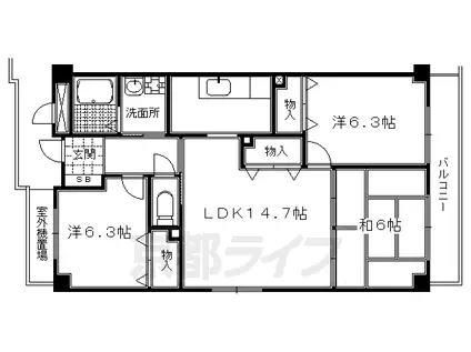 ベルク北野(3LDK/1階)の間取り写真