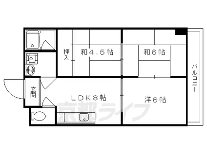 京都市烏丸線 北大路駅 徒歩34分 7階建 築52年(3LDK/2階)の間取り写真