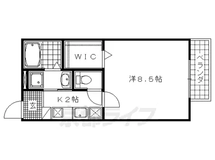 山陰本線 円町駅 徒歩6分 2階建 築17年(1K/2階)の間取り写真