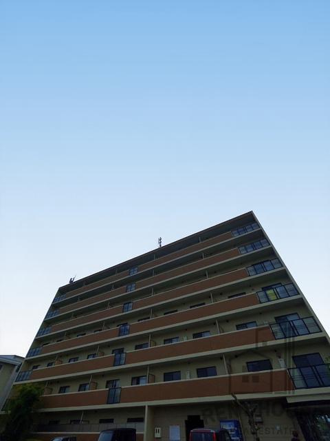 サンクレスト岸和田(2LDK/2階)