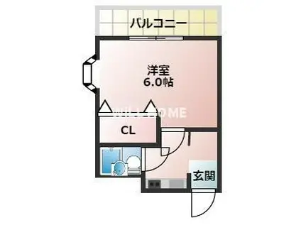 紀勢本線 黒江駅 徒歩37分 4階建 築36年(1K/3階)の間取り写真