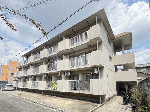 サンハイツ八坂(1LDK/2階)