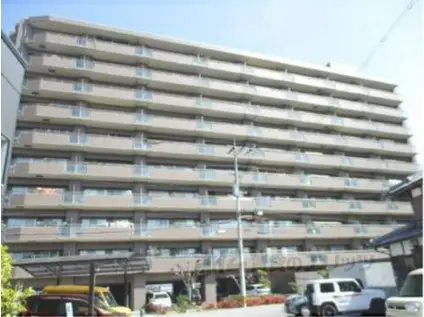 サーパス長浜豊公園前弐番館(3LDK/8階)の外観写真