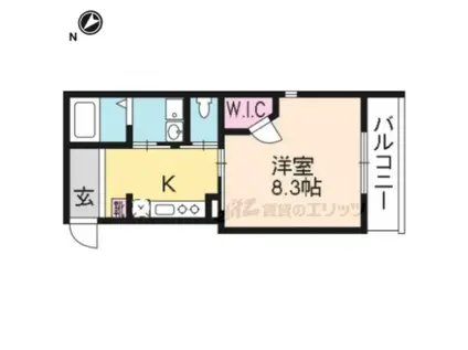 セーイ・サーリチェ(1K/3階)の間取り写真