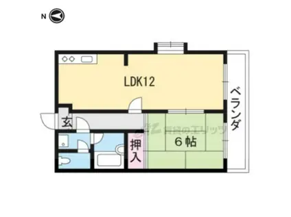 エレガントコーポ(1LDK/1階)の間取り写真
