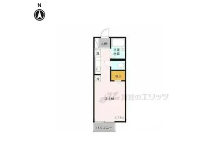 シティパル大宮A棟(ワンルーム/1階)の間取り写真