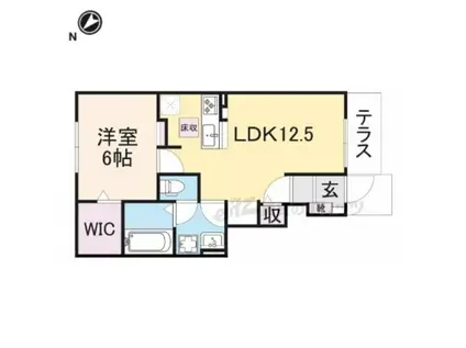 ベルオーブ(1LDK/1階)の間取り写真