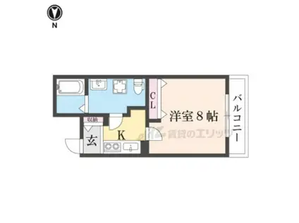 プランドール寺之内(1K/1階)の間取り写真