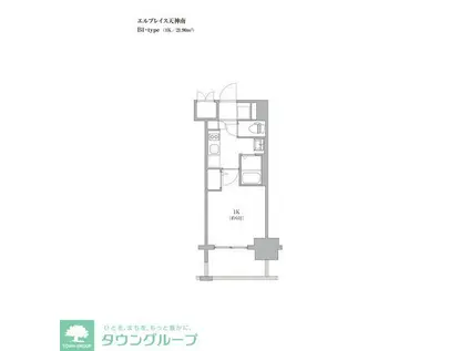 エルプレイス天神南(1K/11階)の間取り写真