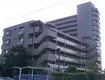 サンライフ東川口(3LDK/7階)
