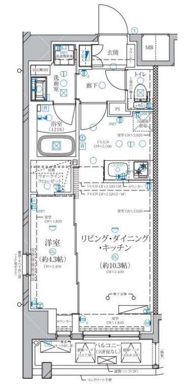 ディアレイシャス赤羽(1LDK/10階)の間取り写真