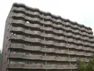 天神山マンションⅡ号館(2LDK/1階)