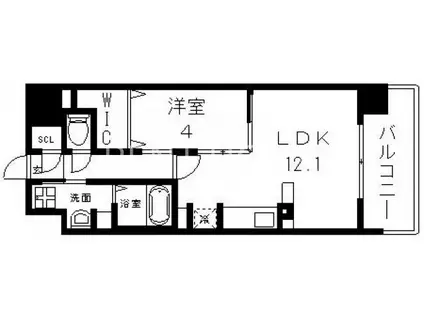 ハイラインIII(1LDK/10階)の間取り写真