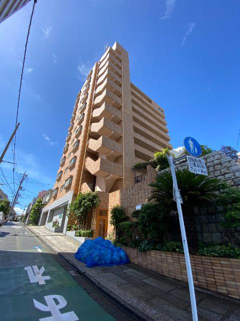 ロイヤルヒルズ(3DK/9階)