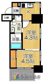 ルネッサンス21薬院サウス(2K/7階)の間取り写真
