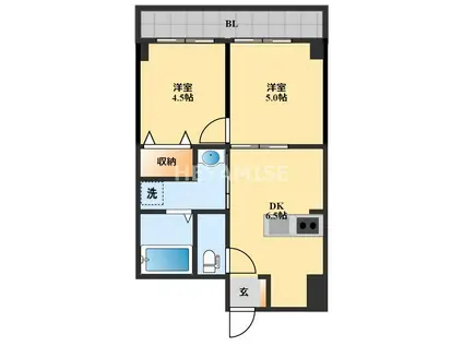 ルーシッド中央(2DK/4階)の間取り写真