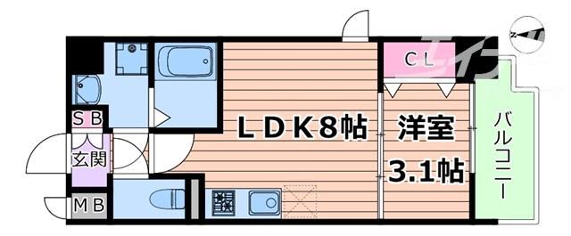 サンメゾンXVI(1LDK/8階)の間取り写真