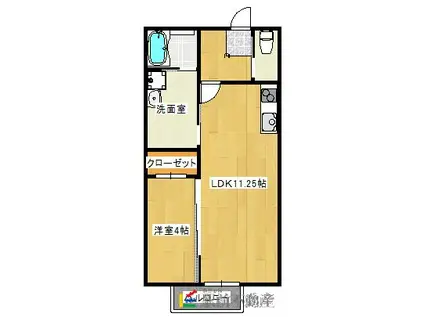 パインハイツVII(1LDK/2階)の間取り写真