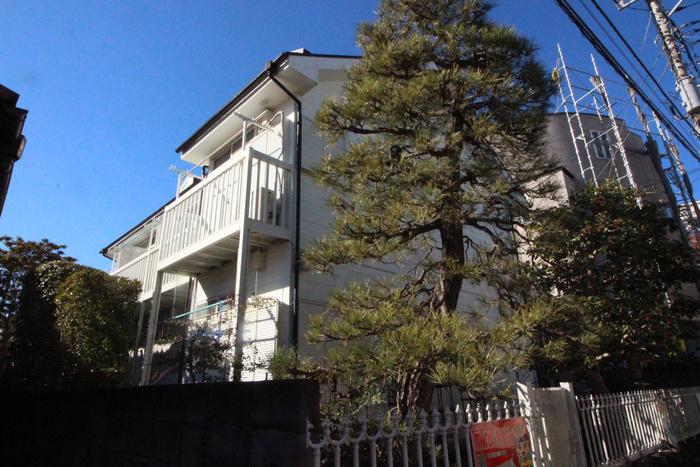 サンラピス壱番館(1K/1階)