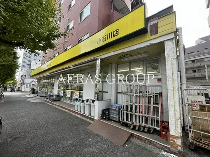 ディアナコート小石川播磨坂レジデンス(2LDK/4階)の周辺写真