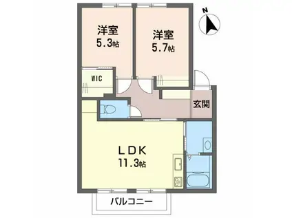 ドミール富永C(2LDK/1階)の間取り写真